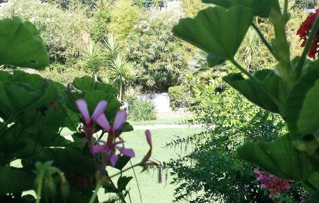 Bed and Breakfast Casa Per Ferie Cardinal G. Guarino Rom Exterior foto